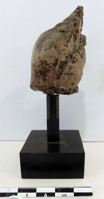 © Musées d'Angers - Voir l'image 2