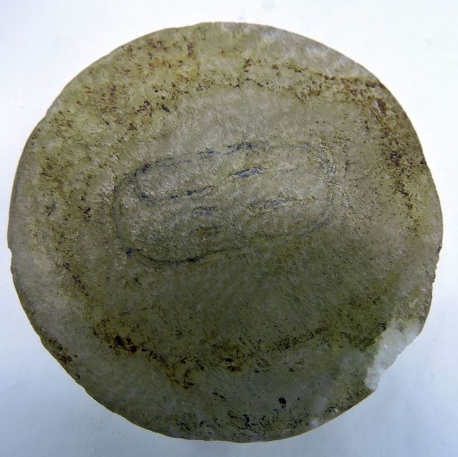 © Musées d'Angers - Voir l'image 5