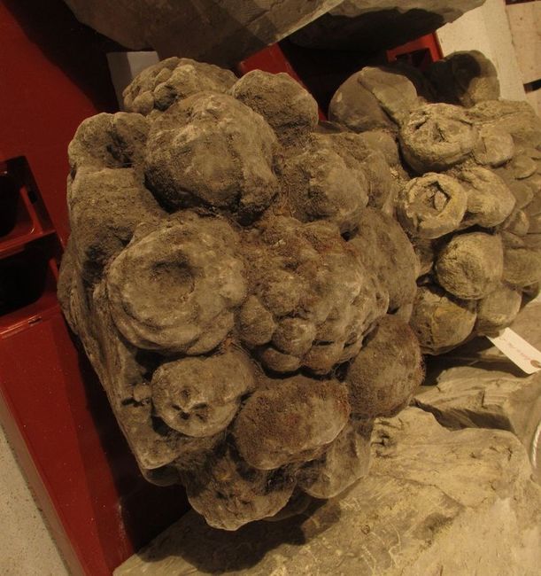 © Musées d'Angers - Voir l'image 3