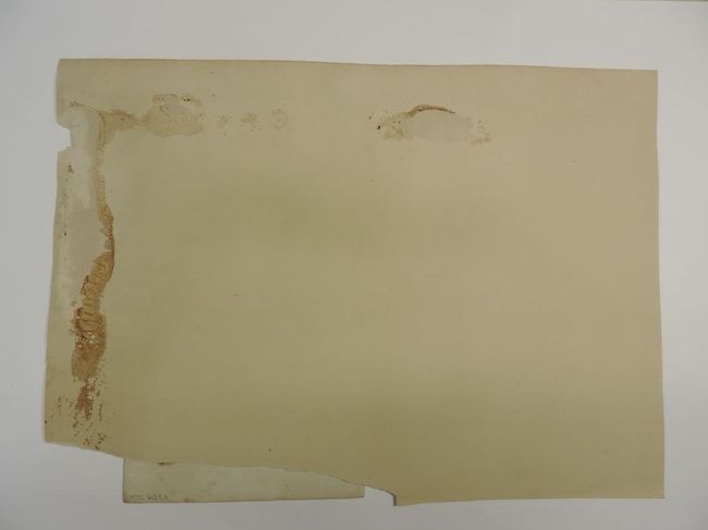 © Musées d'Angers - Voir l'image 3