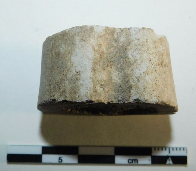 © Musées d'Angers - Voir l'image 3