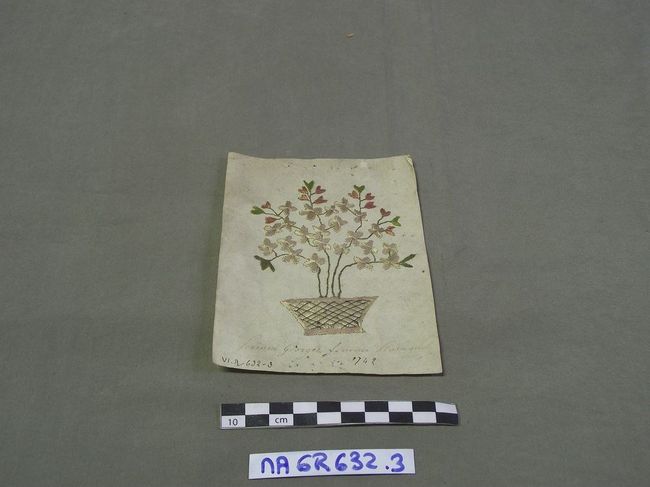 Illustration