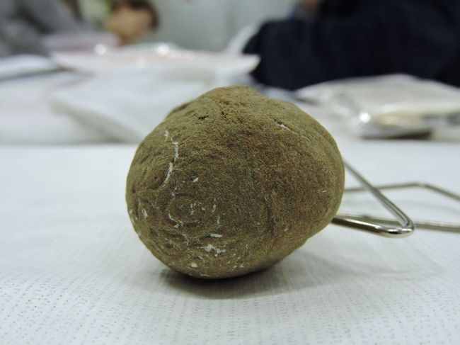 © Musées d'Angers - Voir l'image 3