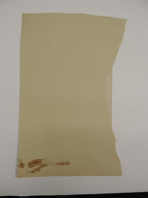 © Musées d'Angers - Voir l'image 2