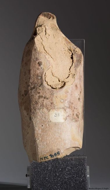 © Musées d'Angers - Voir l'image 2