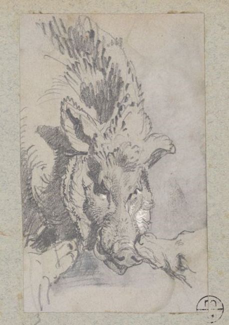 Illustration