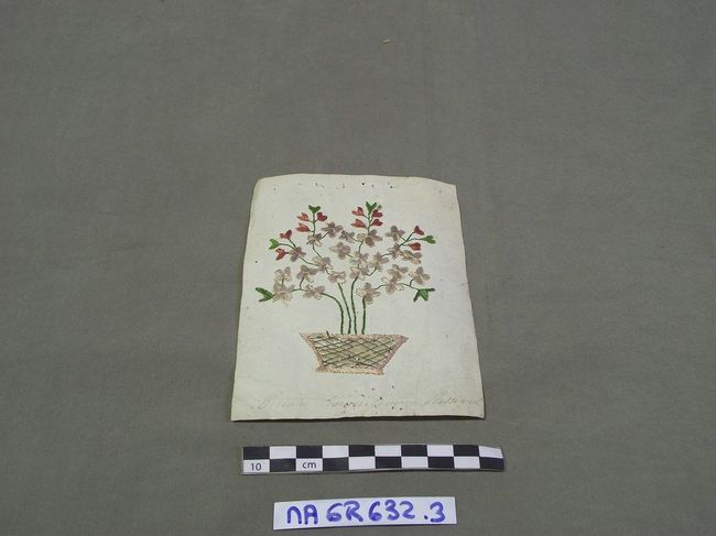 © Musées d'Angers - Voir l'image 2