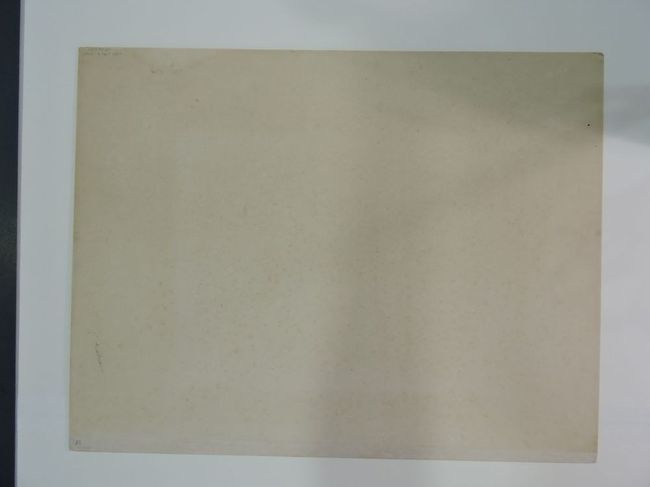 © Musées d'Angers - Voir l'image 2