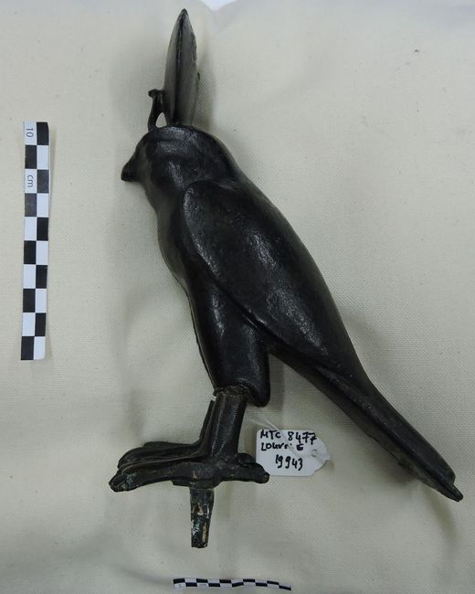 © Musées d'Angers - Voir l'image 2