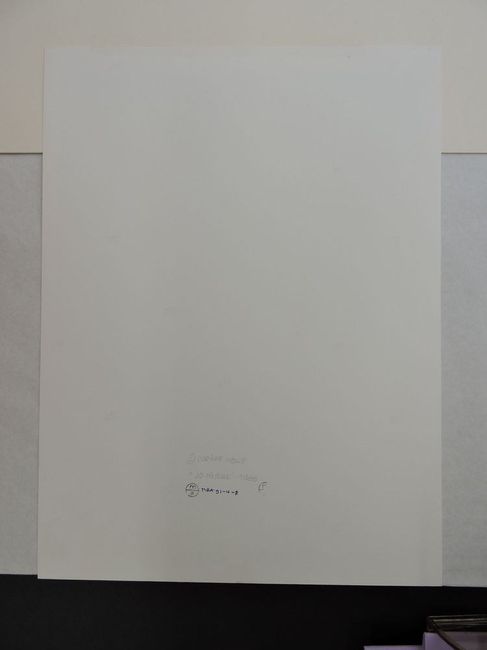 © Musées d'Angers - Voir l'image 2