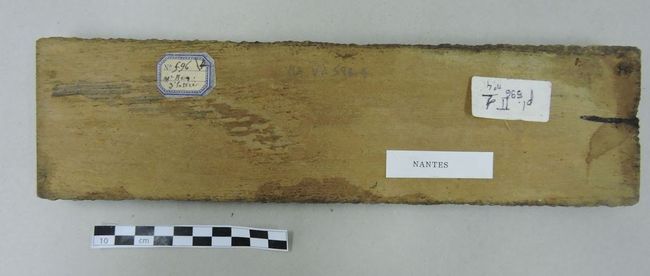 © Musées d'Angers - Voir l'image 2