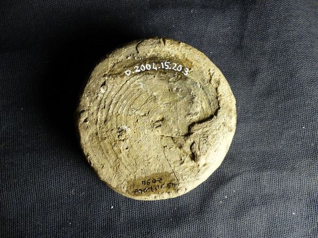 © Musées d'Angers - Voir l'image 3