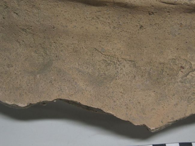 © Musées d'Angers - Voir l'image 3