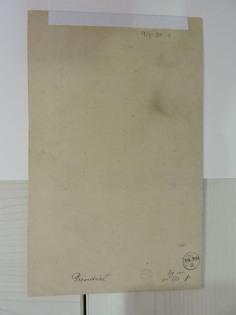 © Musées d'Angers - Voir l'image 2