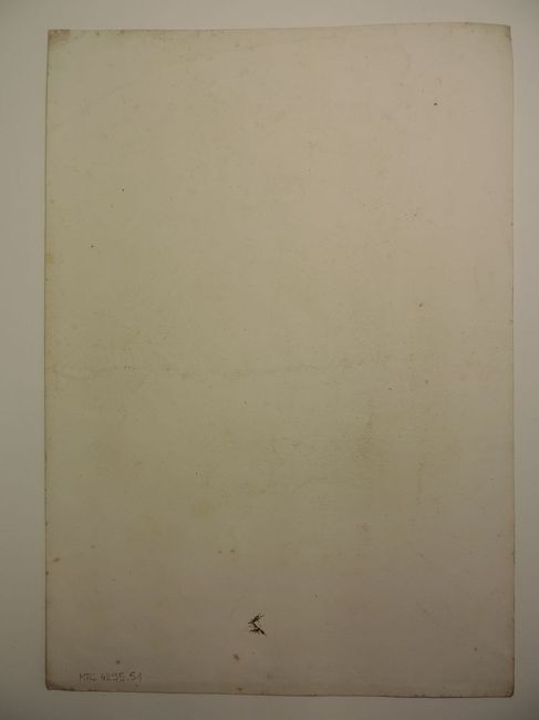 © Musées d'Angers - Voir l'image 2