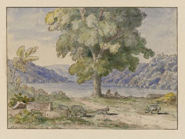 Illustration
