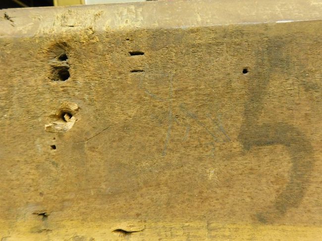 © Musées d'Angers - Voir l'image 12
