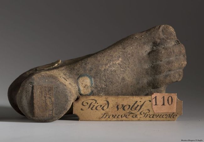 © Musées d'Angers - Voir l'image 4