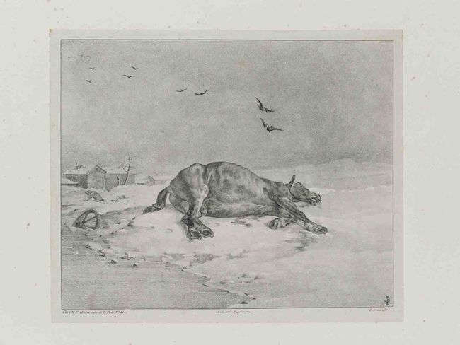 Illustration