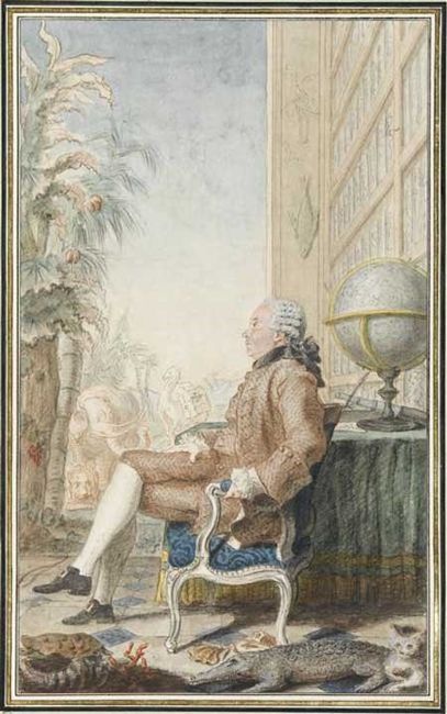 Illustration