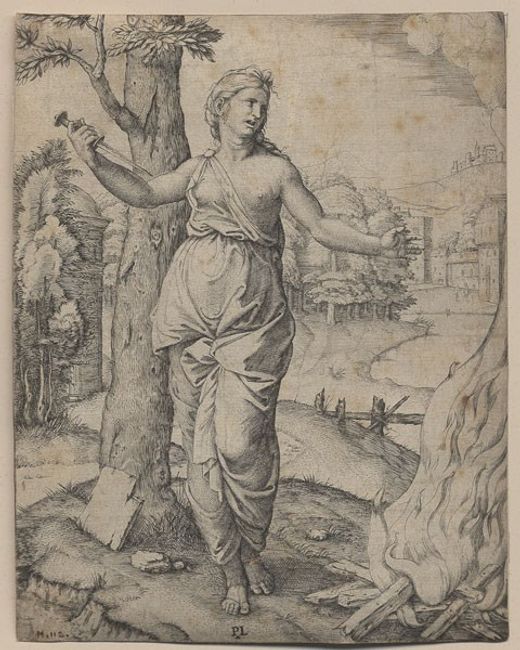 Illustration