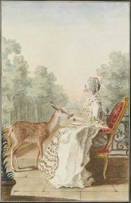 Illustration