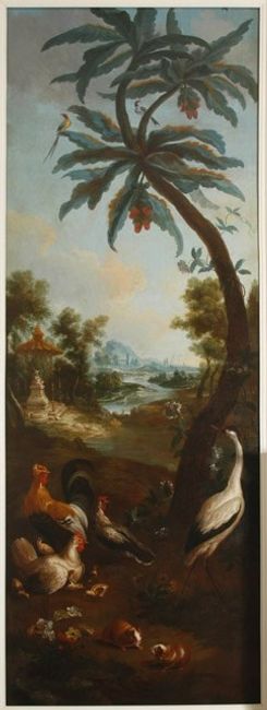 Illustration