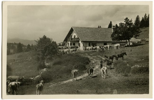 La baronne creux store du van