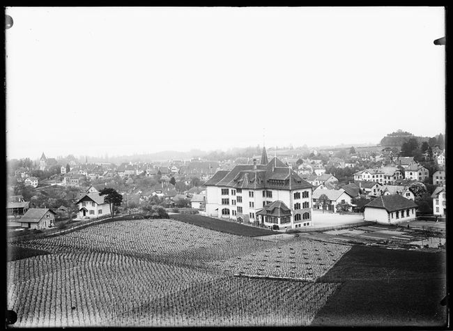 Zeichnung