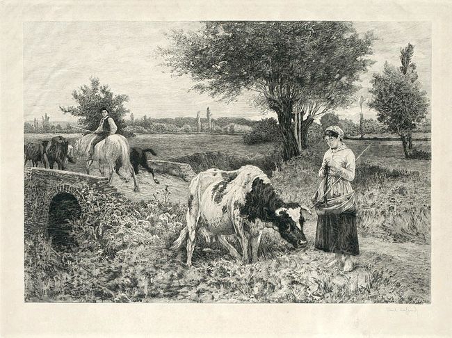 Illustration