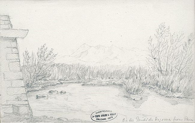 Illustration