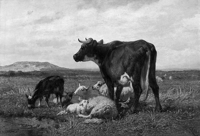Illustration